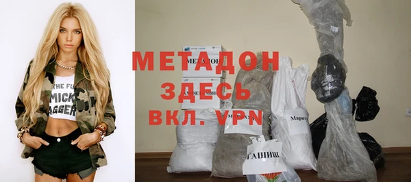 прущие грибы Аркадак