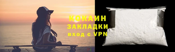 прущие грибы Аркадак