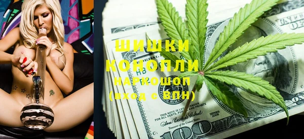 прущие грибы Аркадак