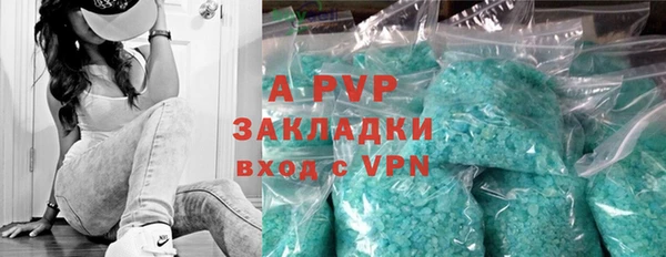 прущие грибы Аркадак