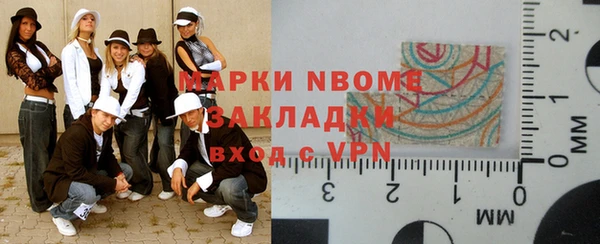 прущие грибы Аркадак