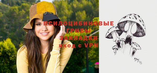 mdpv Арсеньев